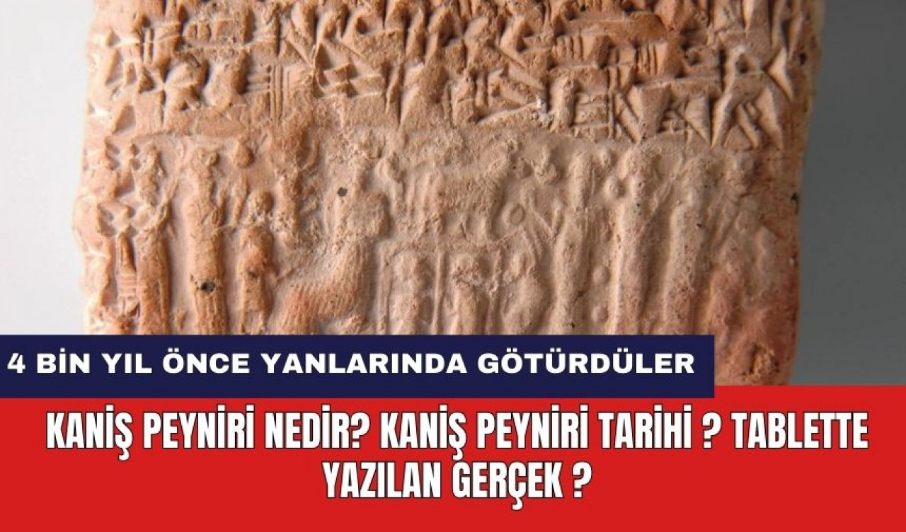 Kaniş peyniri nedir? Kaniş peyniri tarihi ? Tablette yazılan gerçek ?