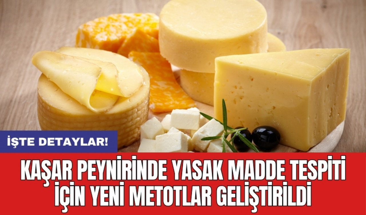 Kaşar peynirinde yasak madde tespiti için yeni metotlar geliştirildi