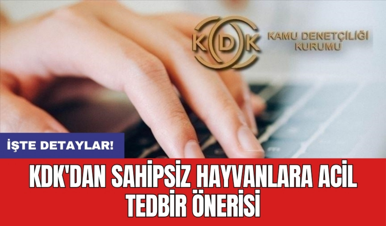 KDK'dan sahipsiz hayvanlara acil tedbir önerisi