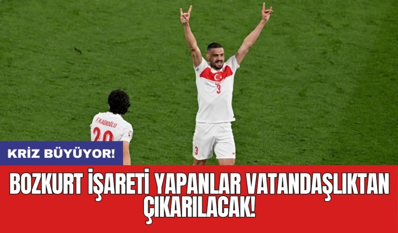 Kriz büyüyor! Bozkurt işareti yapanlar vatandaşlıktan çıkarılacak!