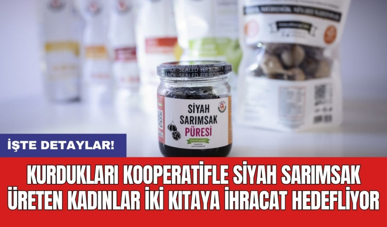 Kurdukları kooperatifle siyah sarımsak üreten kadınlar iki kıtaya ihracat hedefliyor