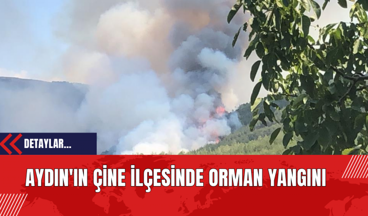 Aydın'ın Çine İlçesinde Orman Yangını