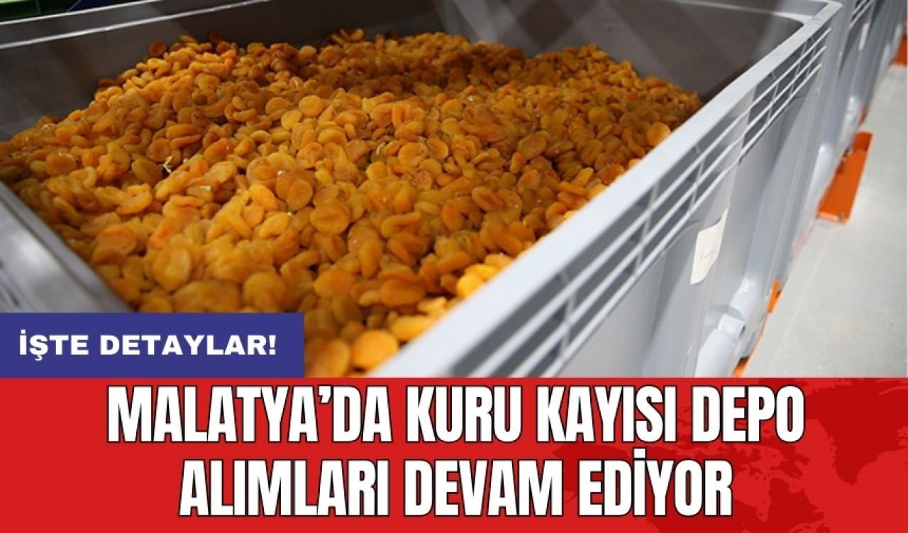 Malatya’da kuru kayısı depo alımları devam ediyor