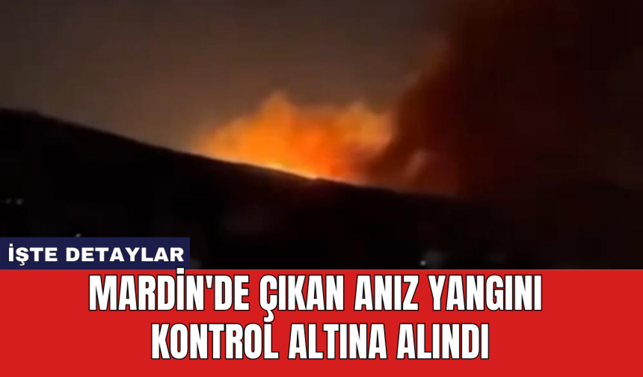 Mardin'de çıkan anız yangını kontrol altına alındı