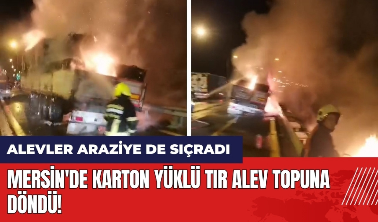 Mersin'de karton yüklü tır alev topuna döndü! Alevler araziye de sıçradı