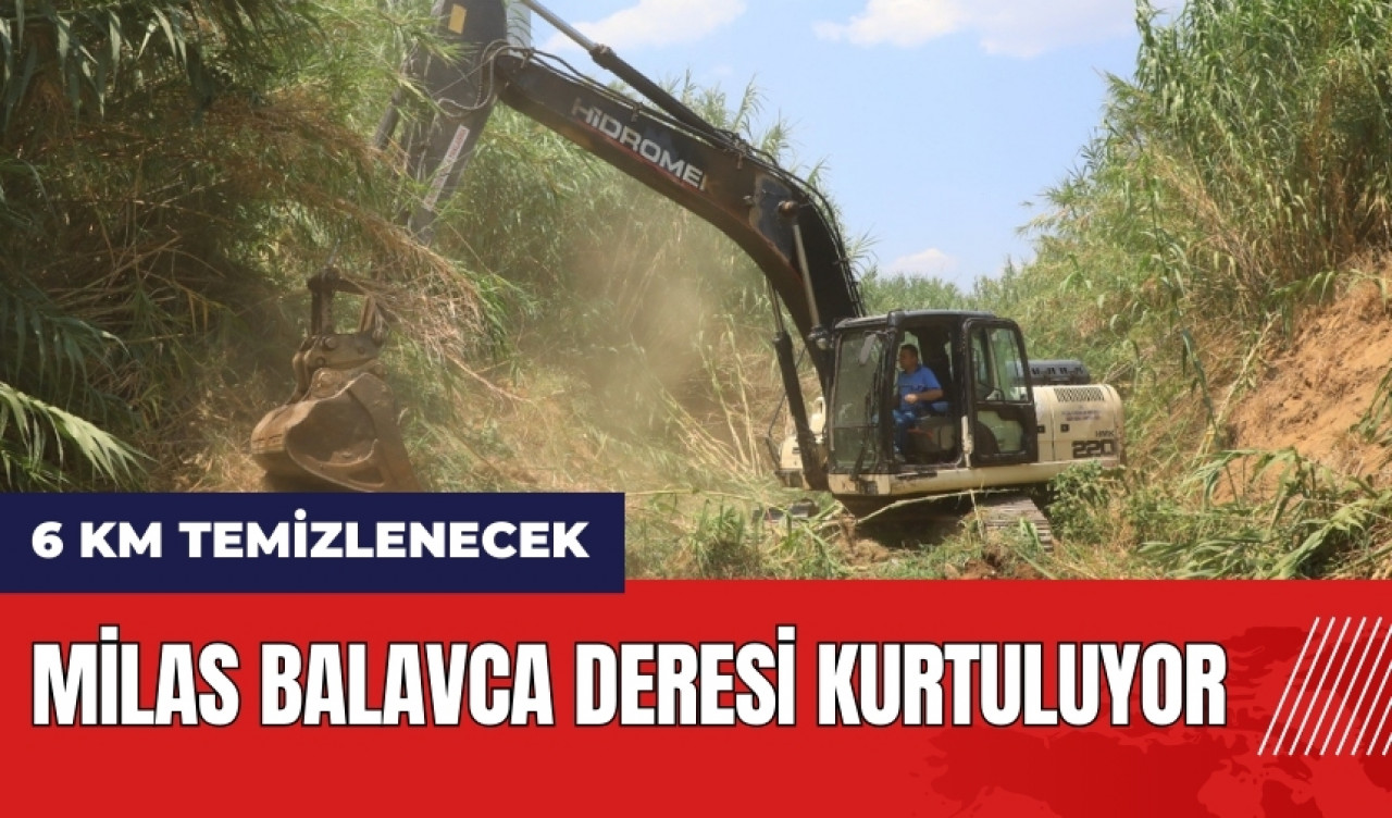 Milas Balavca Deresi kurtuluyor