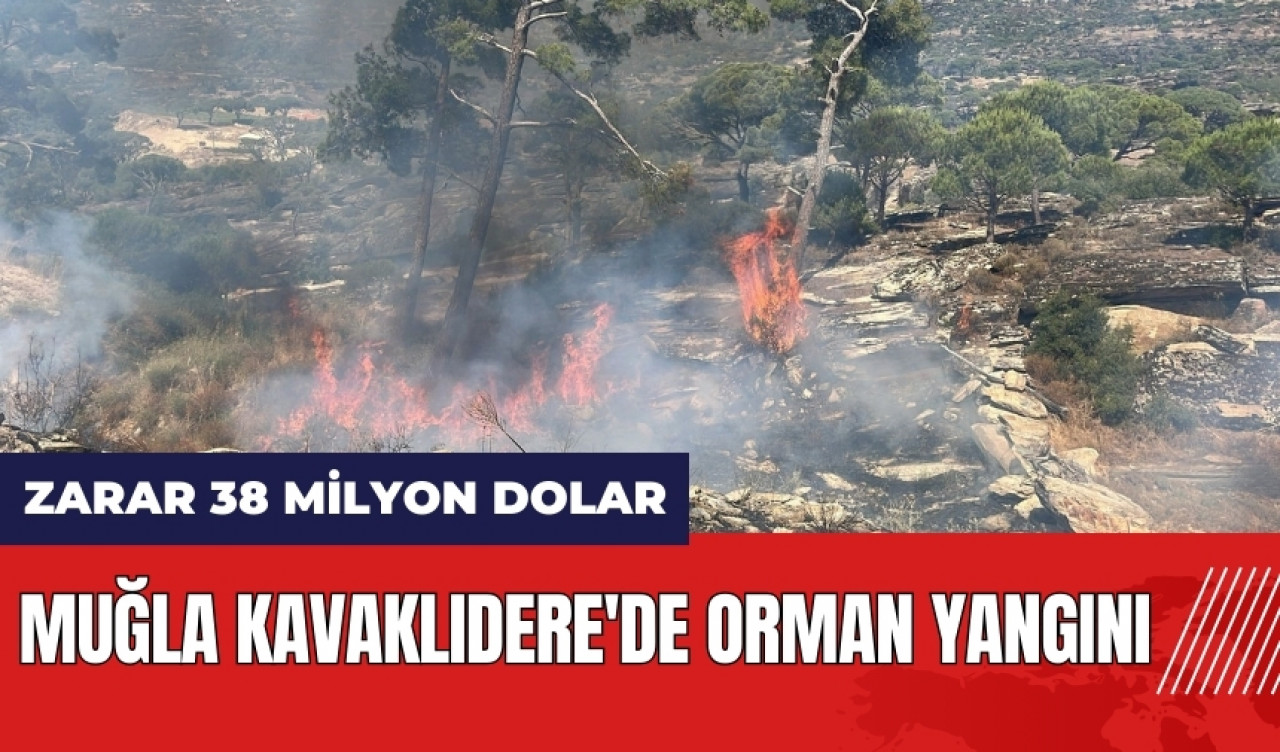 Muğla Kavaklıdere'de orman yangını