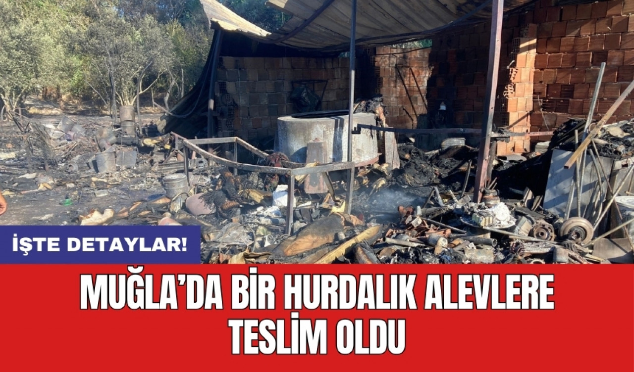 Muğla’da bir hurdalık alevlere teslim oldu