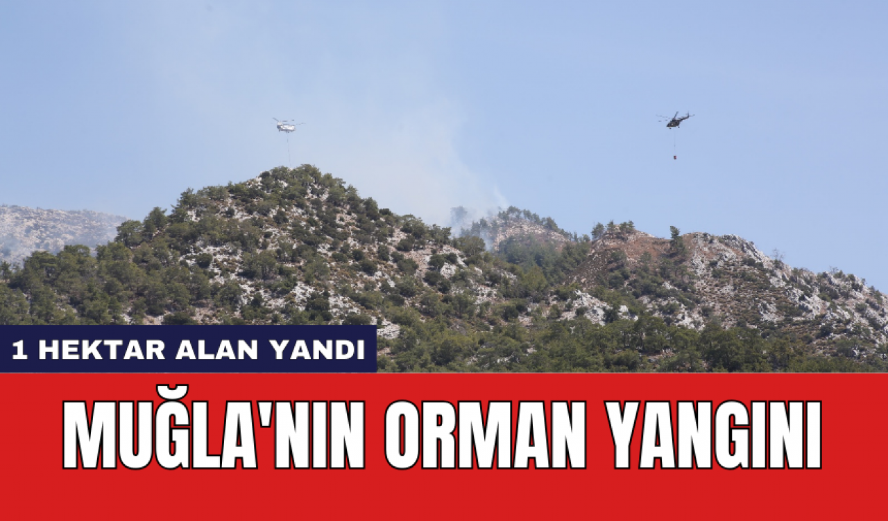 Muğla'nın orman yangını: 1 hektar alan yandı