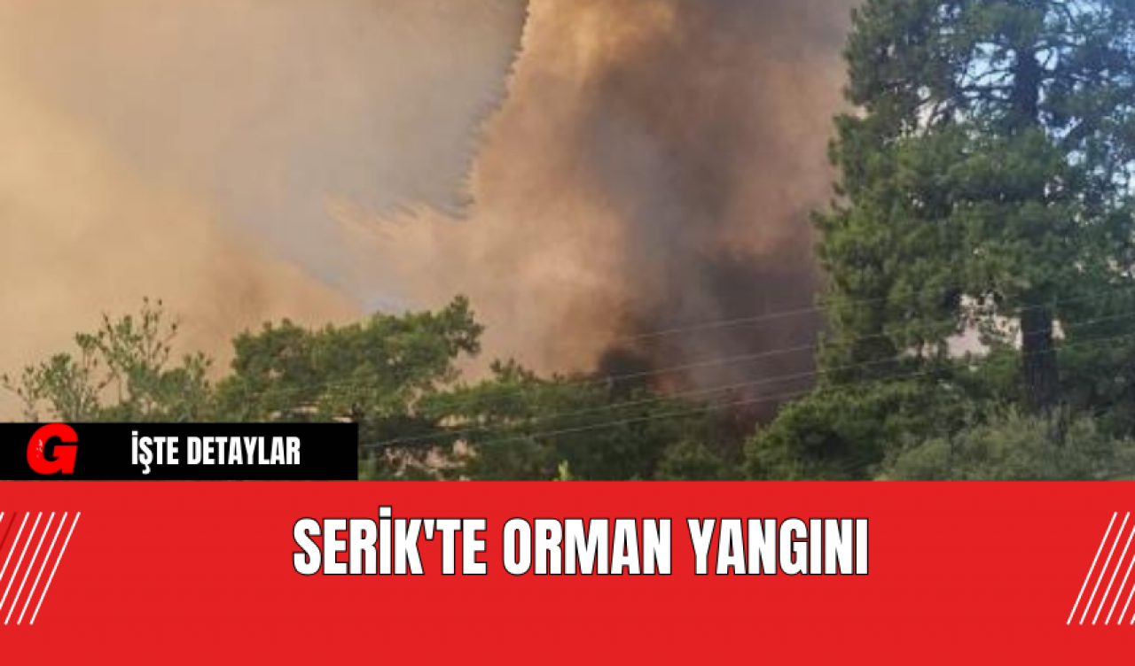 Serik'te Yine Orman Yangını