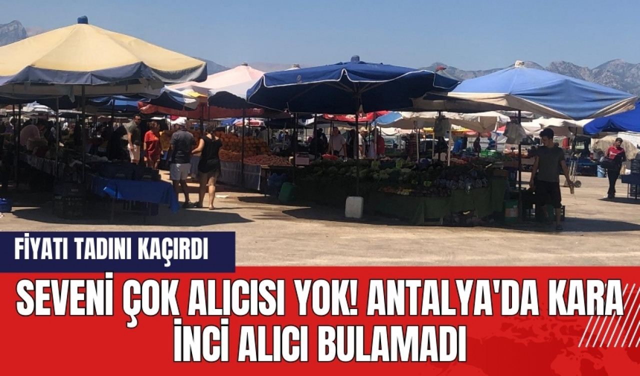 Seveni çok alıcısı yok! Antalya'da kara inci alıcı bulamadı