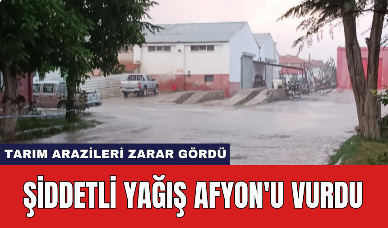 Şiddetli yağış Afyon'u vurdu: Tarım arazileri zarar gördü