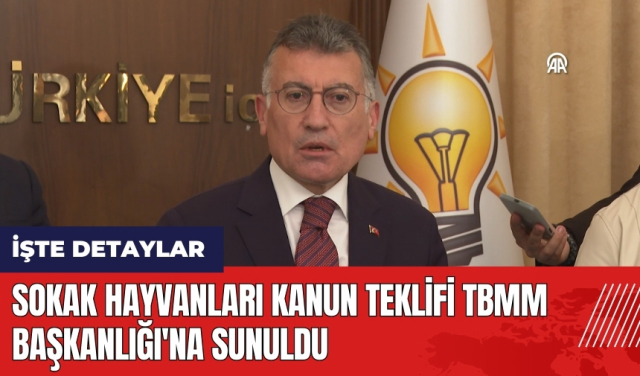 Sokak hayvanları kanun teklifi TBMM Başkanlığı'na sunuldu