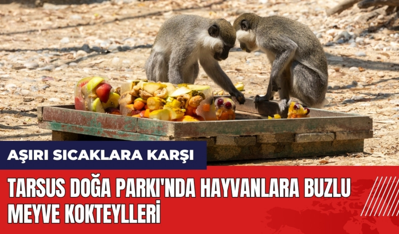 Tarsus Doğa Parkı'nda hayvanlara buzlu meyve kokteylleri