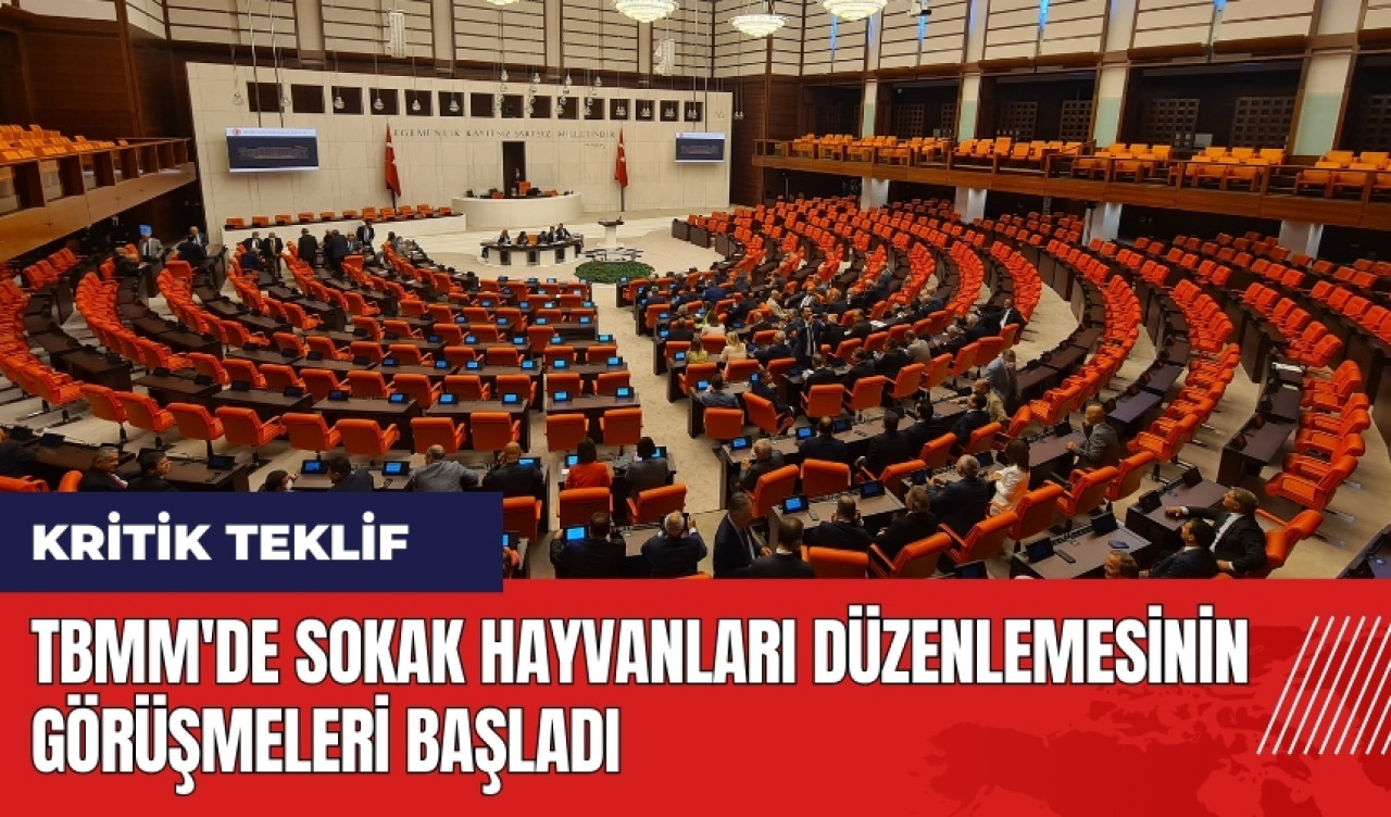 TBMM'de sokak hayvanları düzenlemesinin görüşmeleri başladı