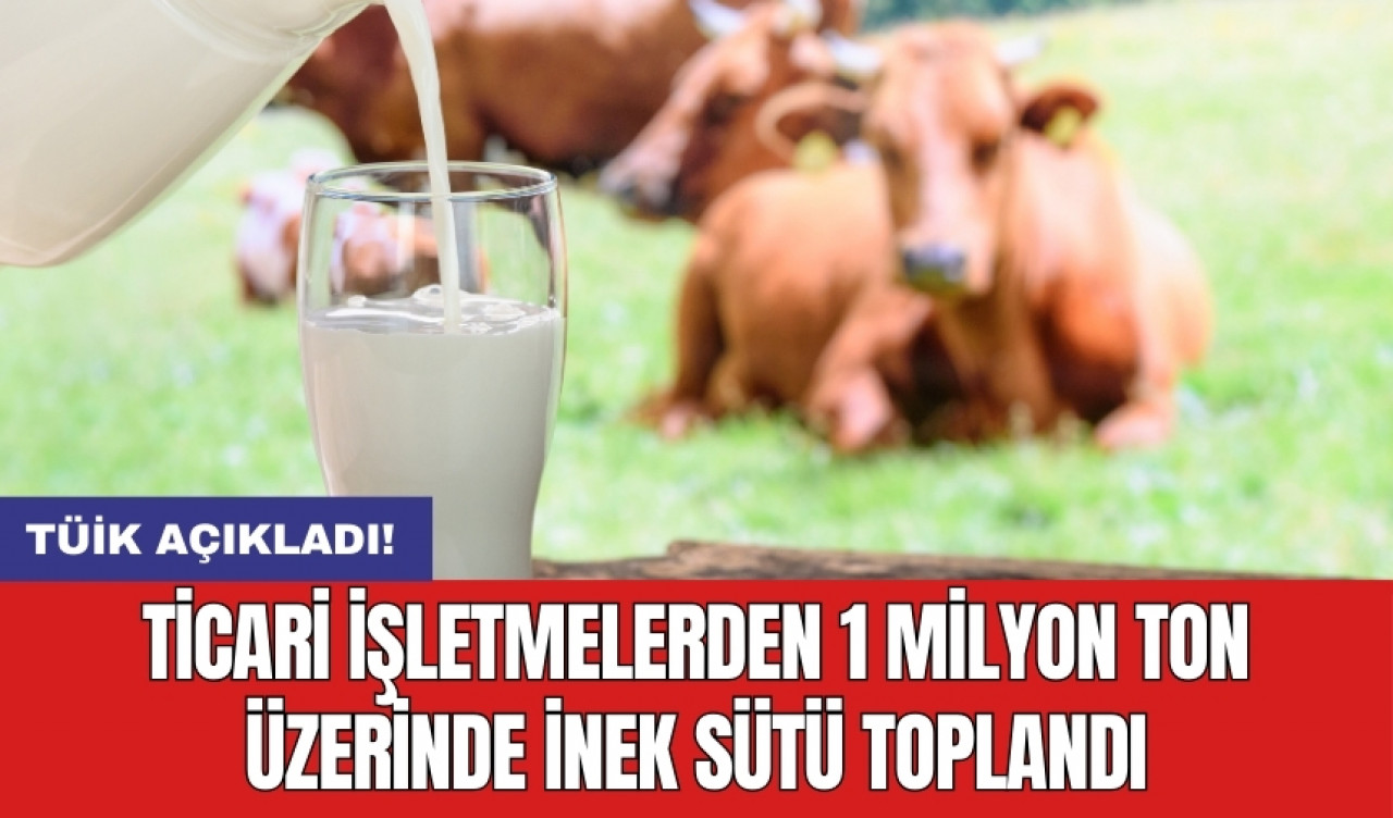 Ticari işletmelerden 1 milyon ton üzerinde inek sütü toplandı