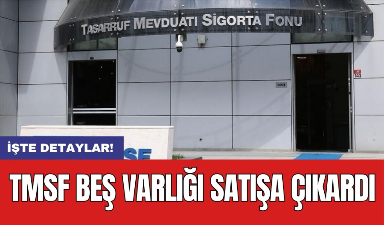 TMSF beş varlığı satışa çıkardı