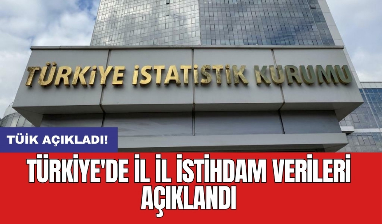 Türkiye'de il il istihdam verileri açıklandı