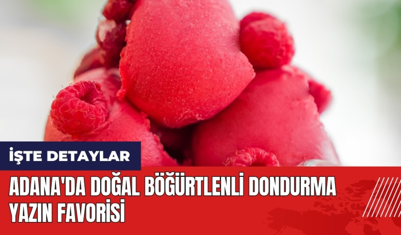 Adana'da doğal böğürtlenli dondurma yazın favorisi