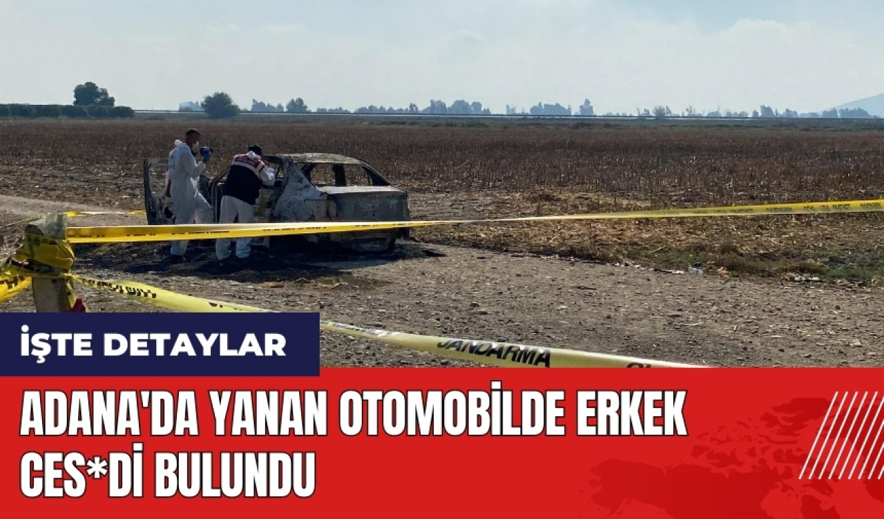 Adana'da yanan otomobilde erkek ces*di bulundu