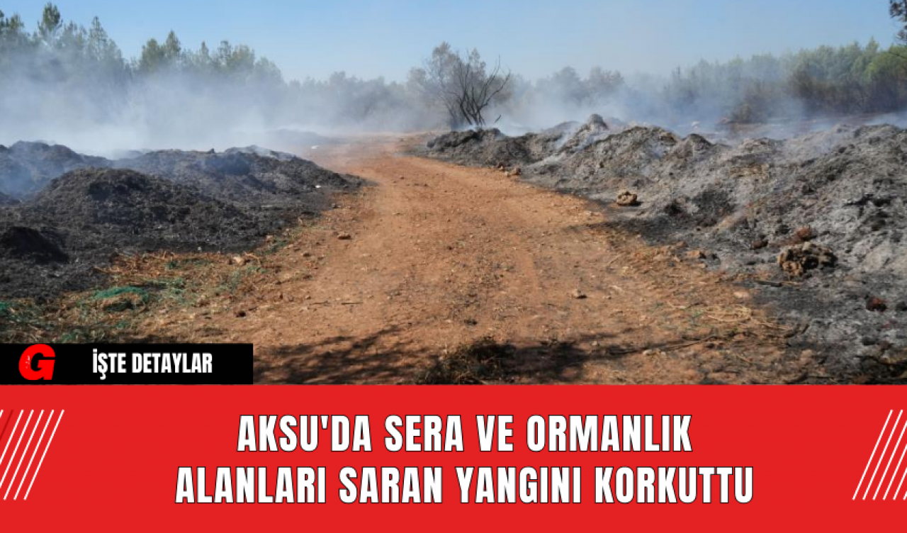 Aksu'da Sera ve Ormanlık Alanları Saran Yangını Korkuttu