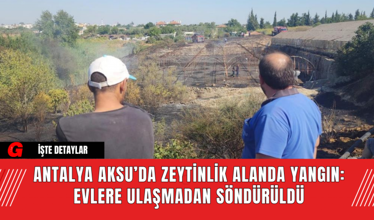 Antalya Aksu’da Zeytinlik Alanda Yangın: Evlere Ulaşmadan Söndürüldü