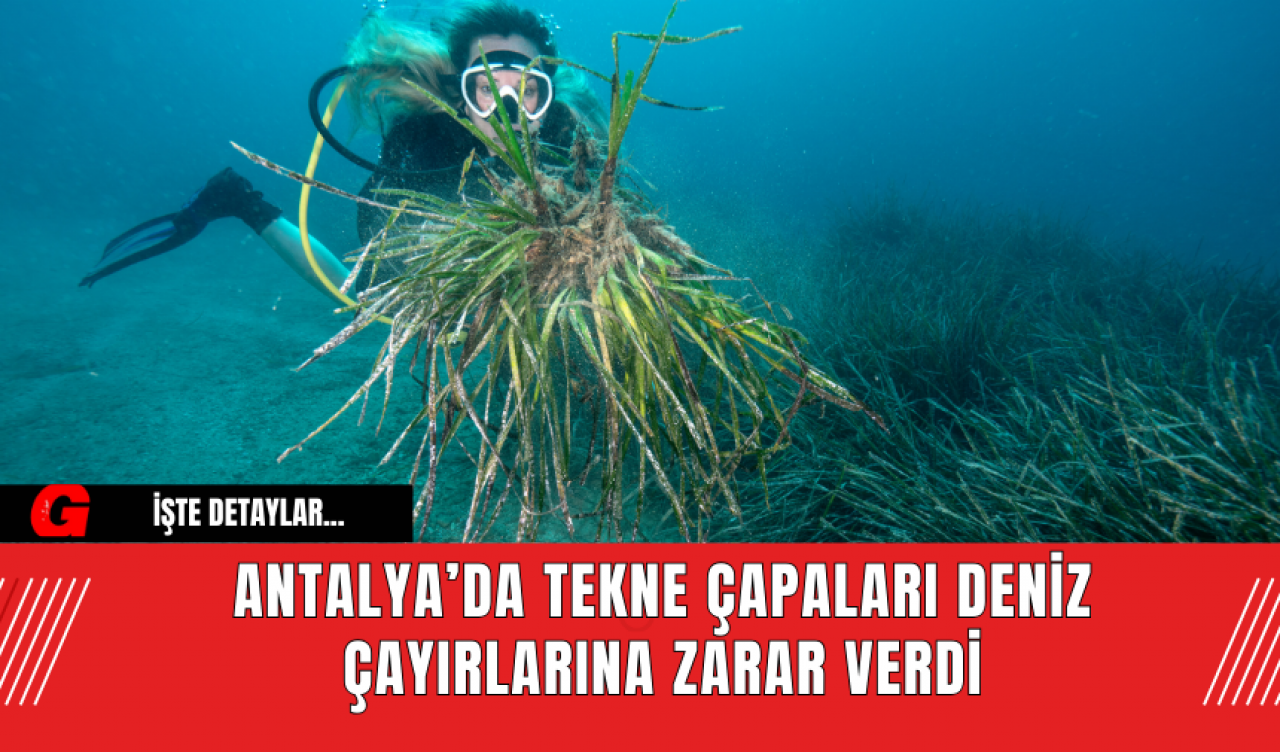 Antalya’da Tekne Çapaları Deniz Çayırlarına Zarar Verdi