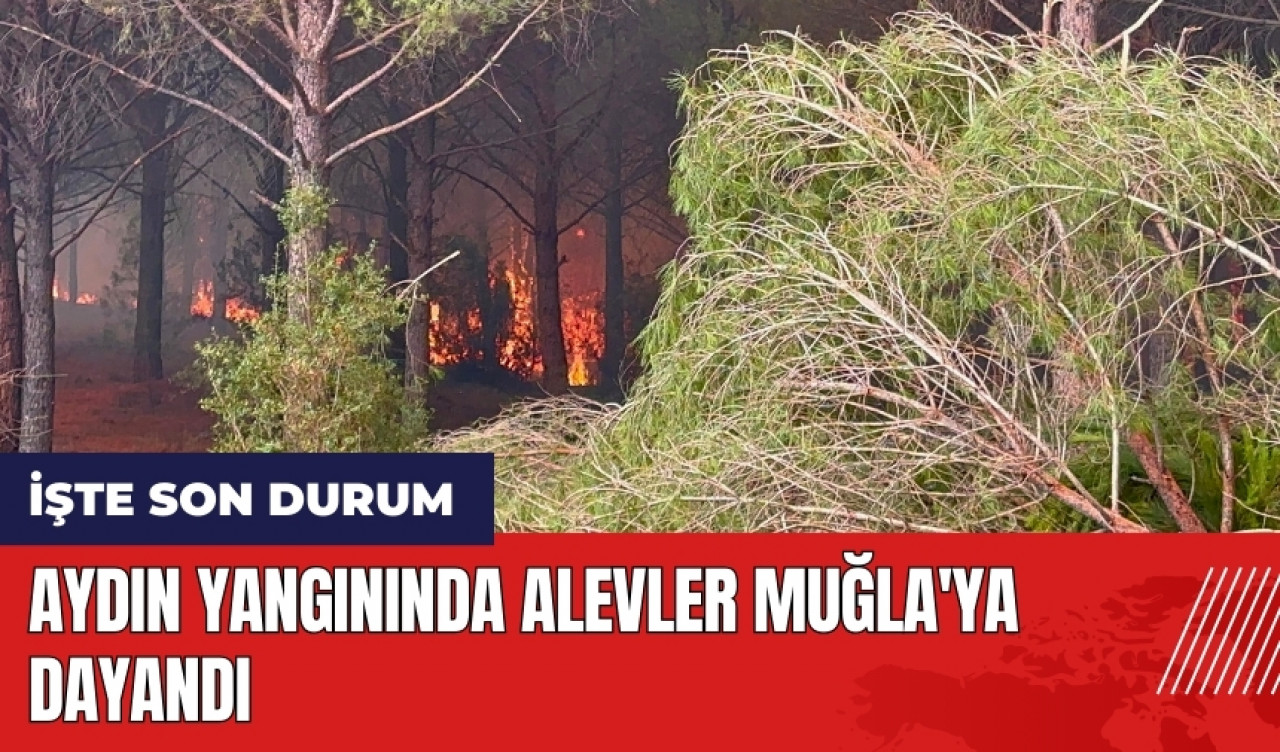 Aydın yangınında alevler Muğla'ya dayandı