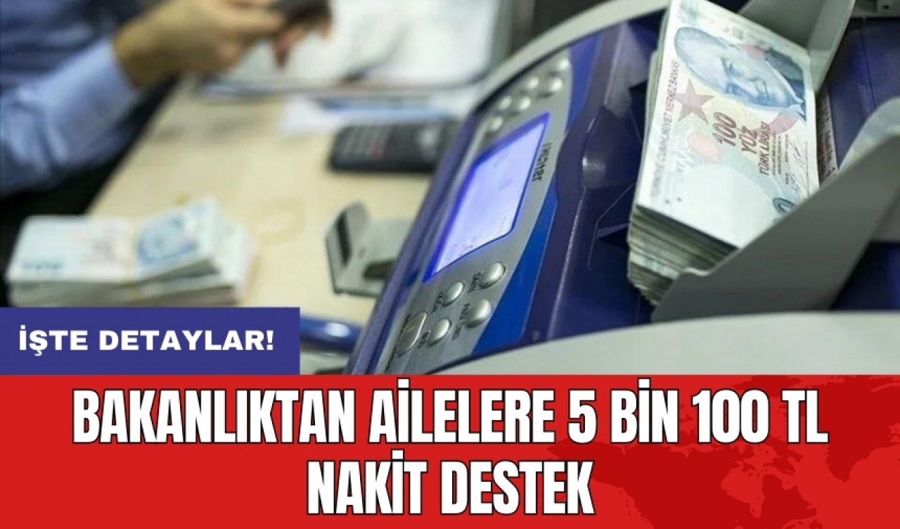 Bakanlıktan ailelere 5 bin 100 TL nakit destek