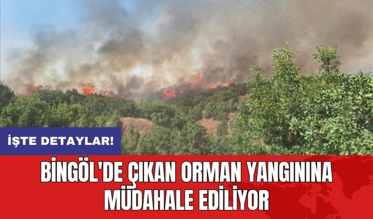 Bingöl'de çıkan orman yangınına müdahale ediliyor