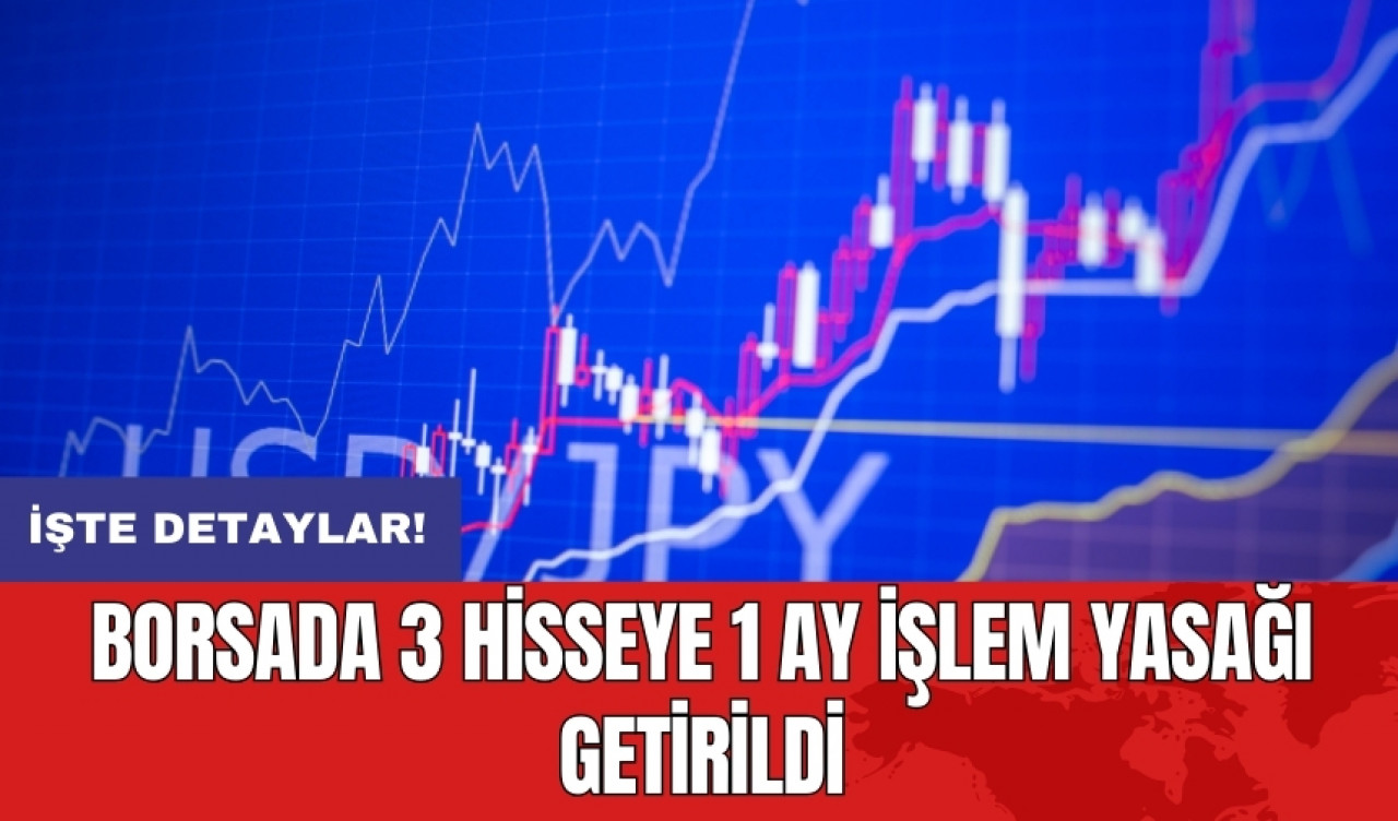 Borsada 3 hisseye 1 ay işlem yasağı getirildi