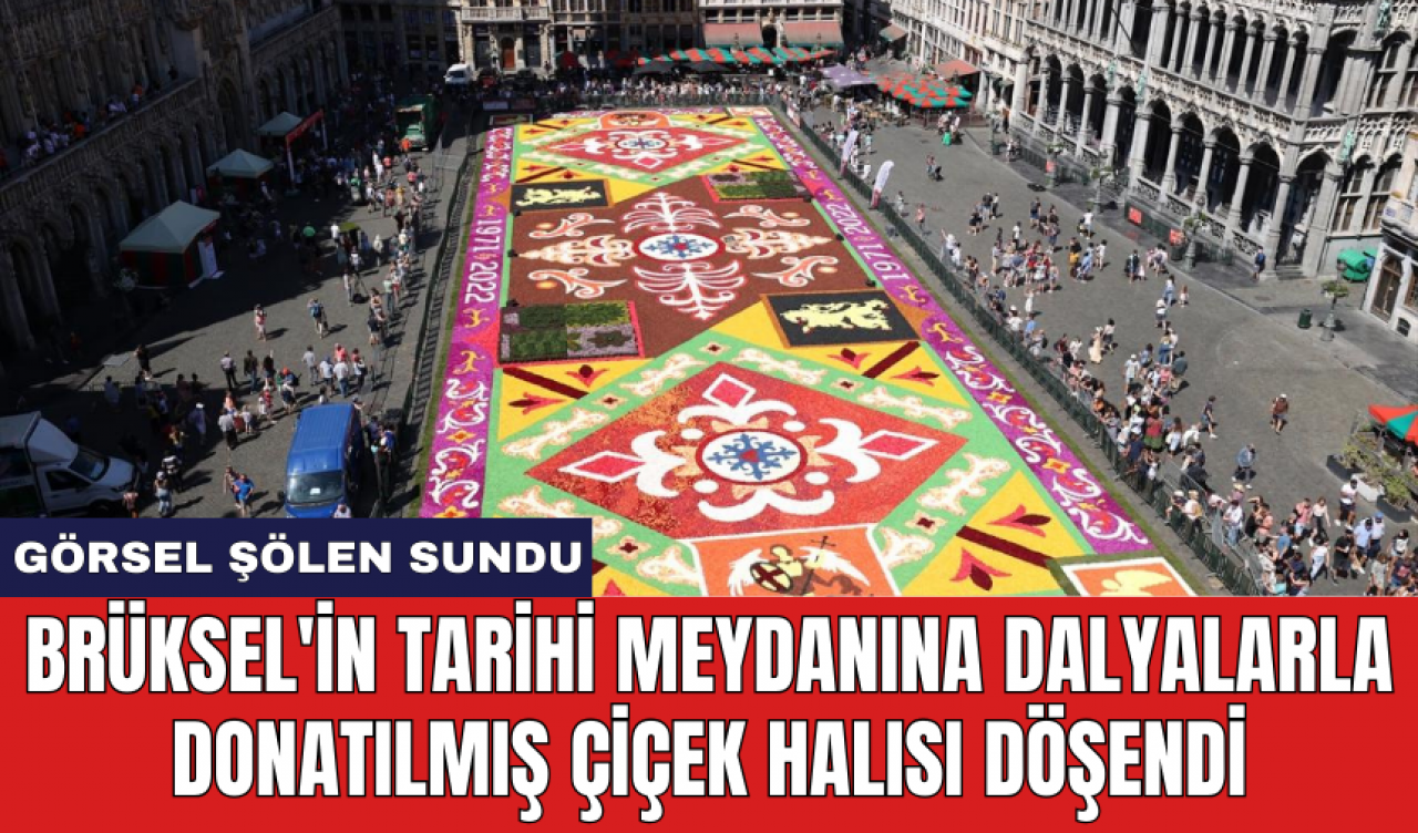 Brüksel'in tarihi meydanına dalyalarla donatılmış çiçek halısı döşendi