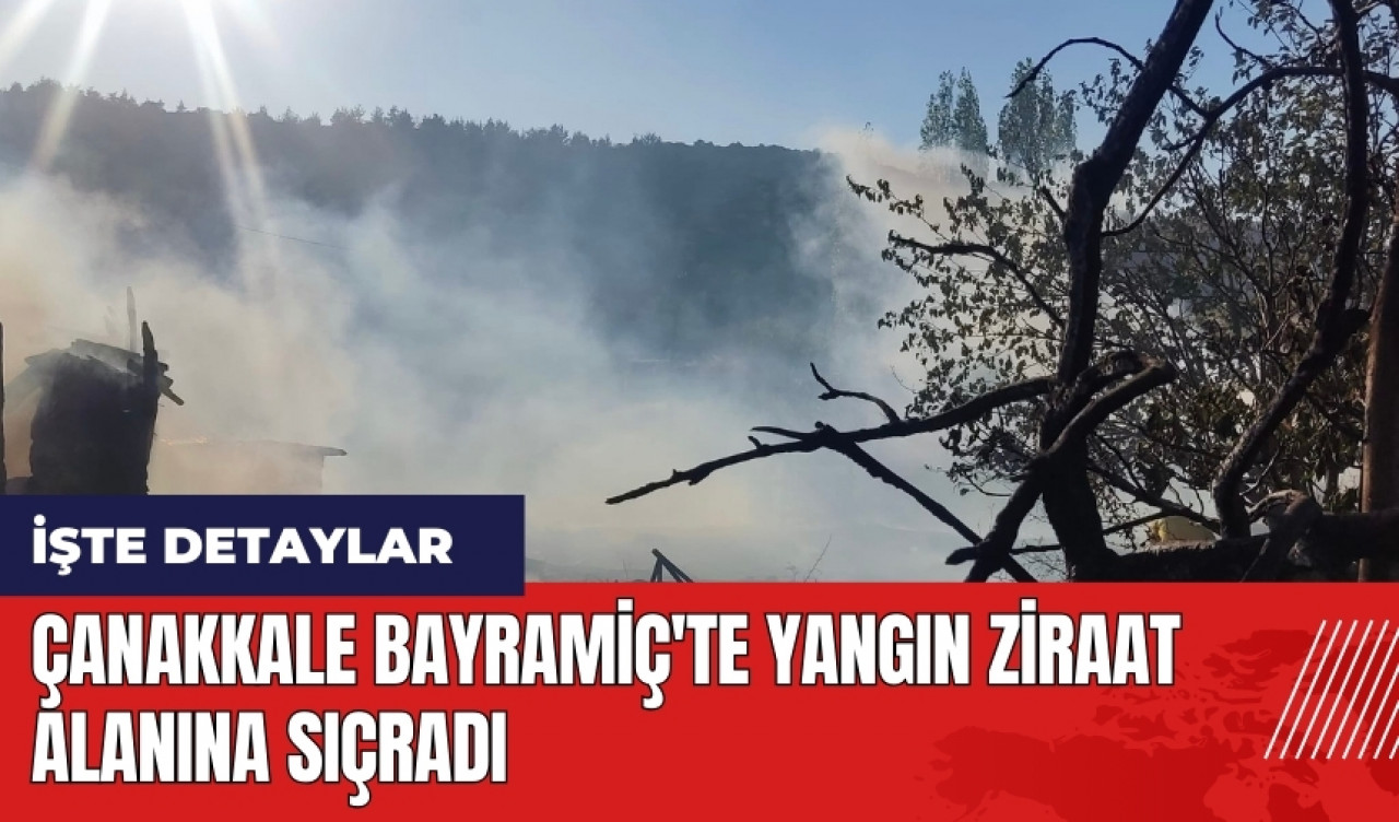 Çanakkale Bayramiç'te yangın ziraat alanına sıçradı