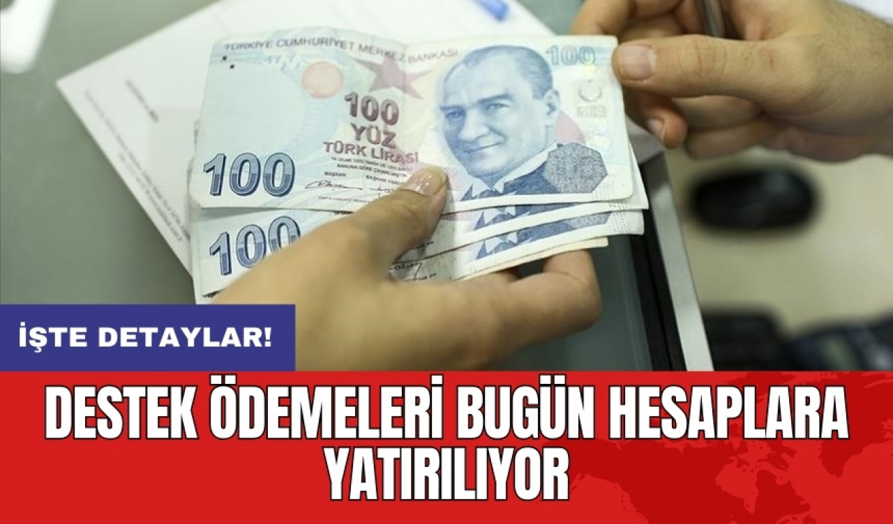 Destek ödemeleri bugün hesaplara yatırılıyor