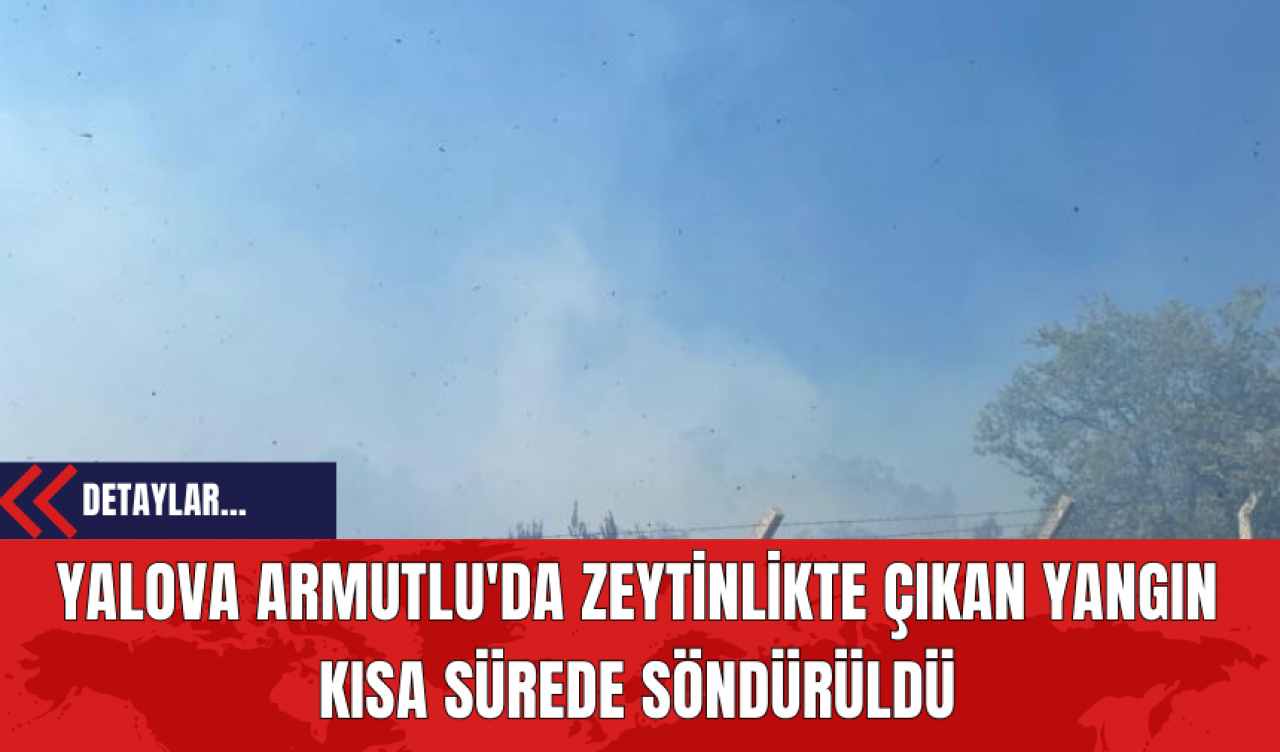 Yalova Armutlu'da Zeytinlikte Çıkan Yangın Kısa Sürede Söndürüldü