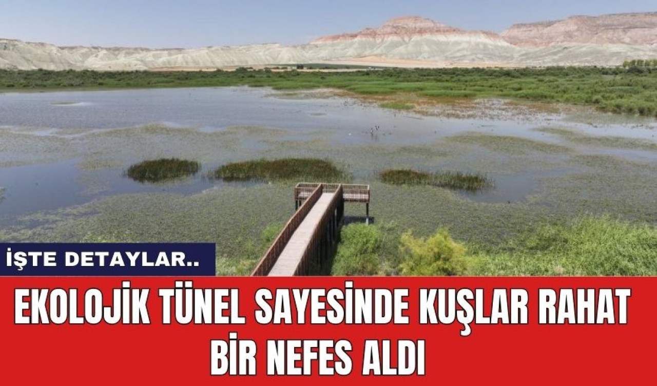 Ekolojik Tünel Sayesinde Kuşlar Rahat Bir Nefes Aldı