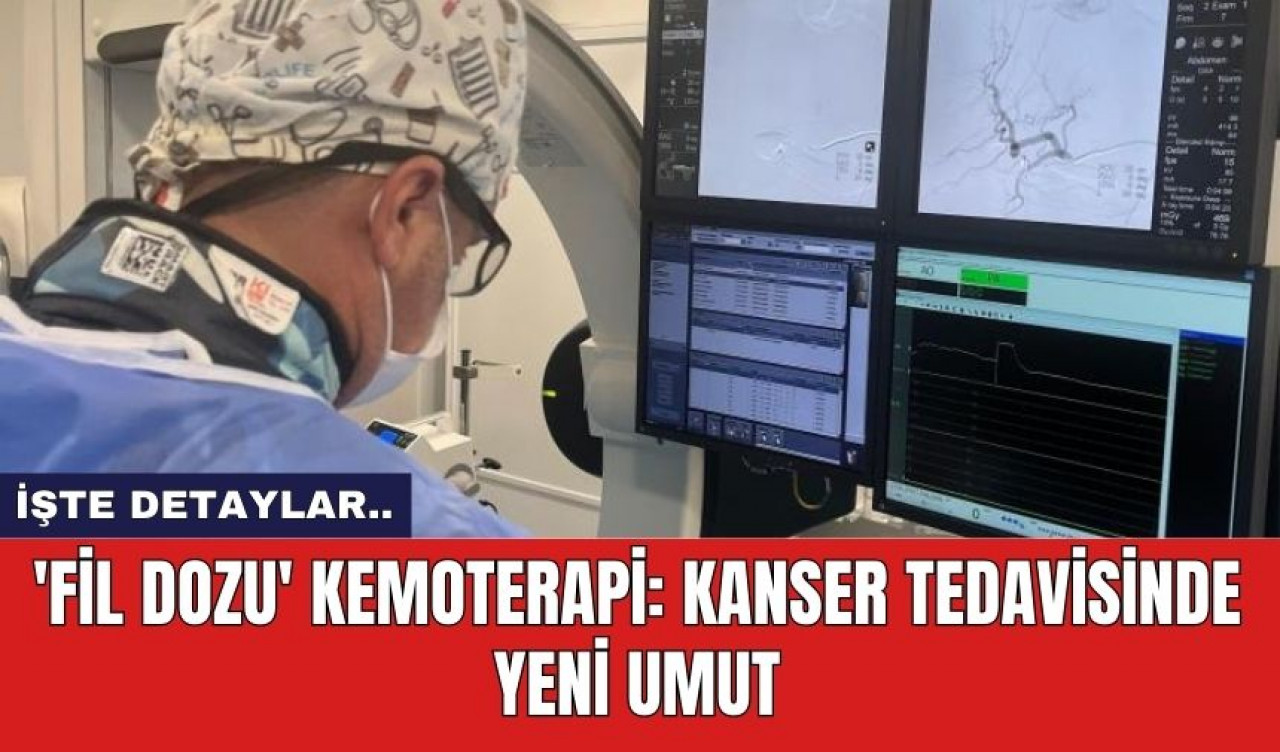 'Fil Dozu' Kemoterapi: Kanser Tedavisinde Yeni Umut