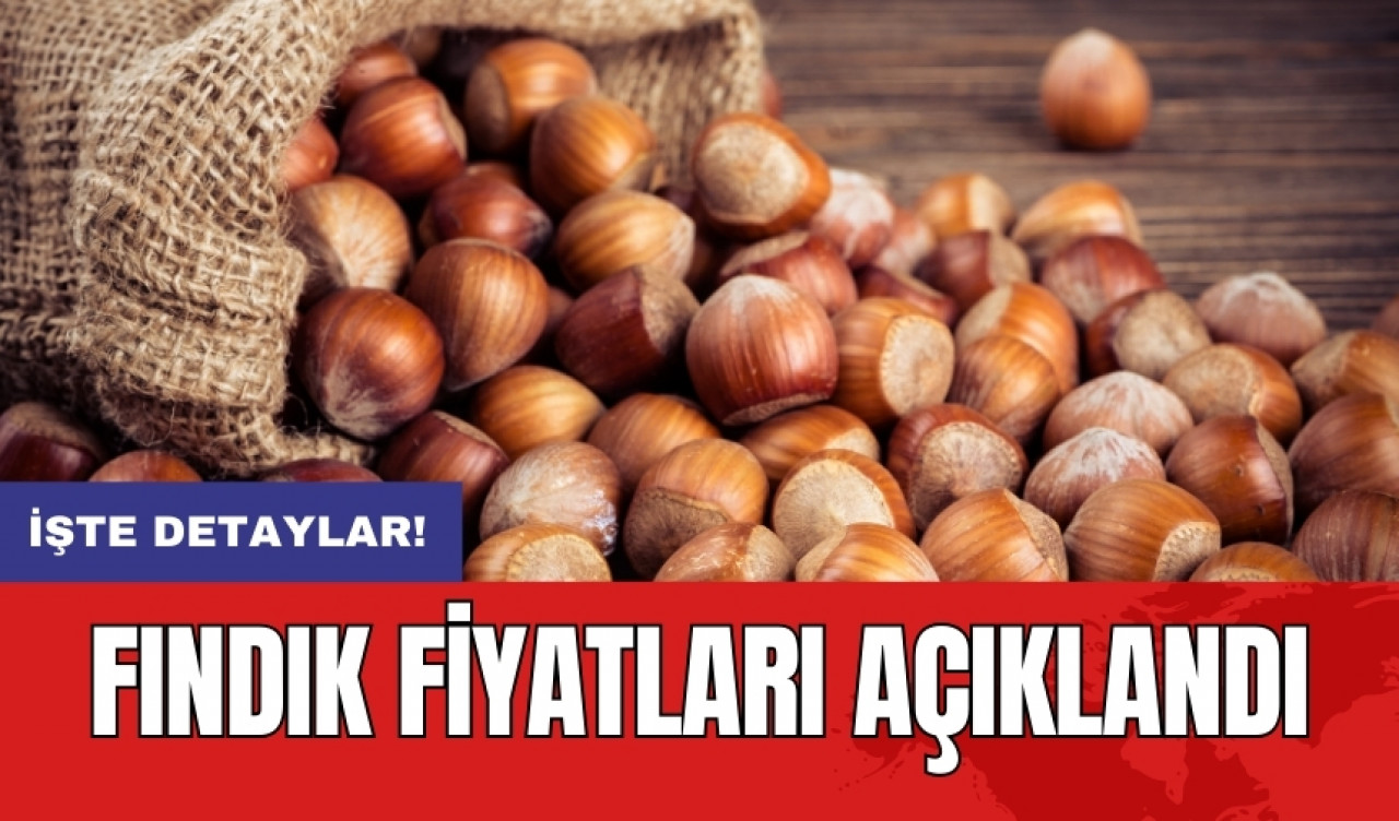 Fındık fiyatları açıklandı