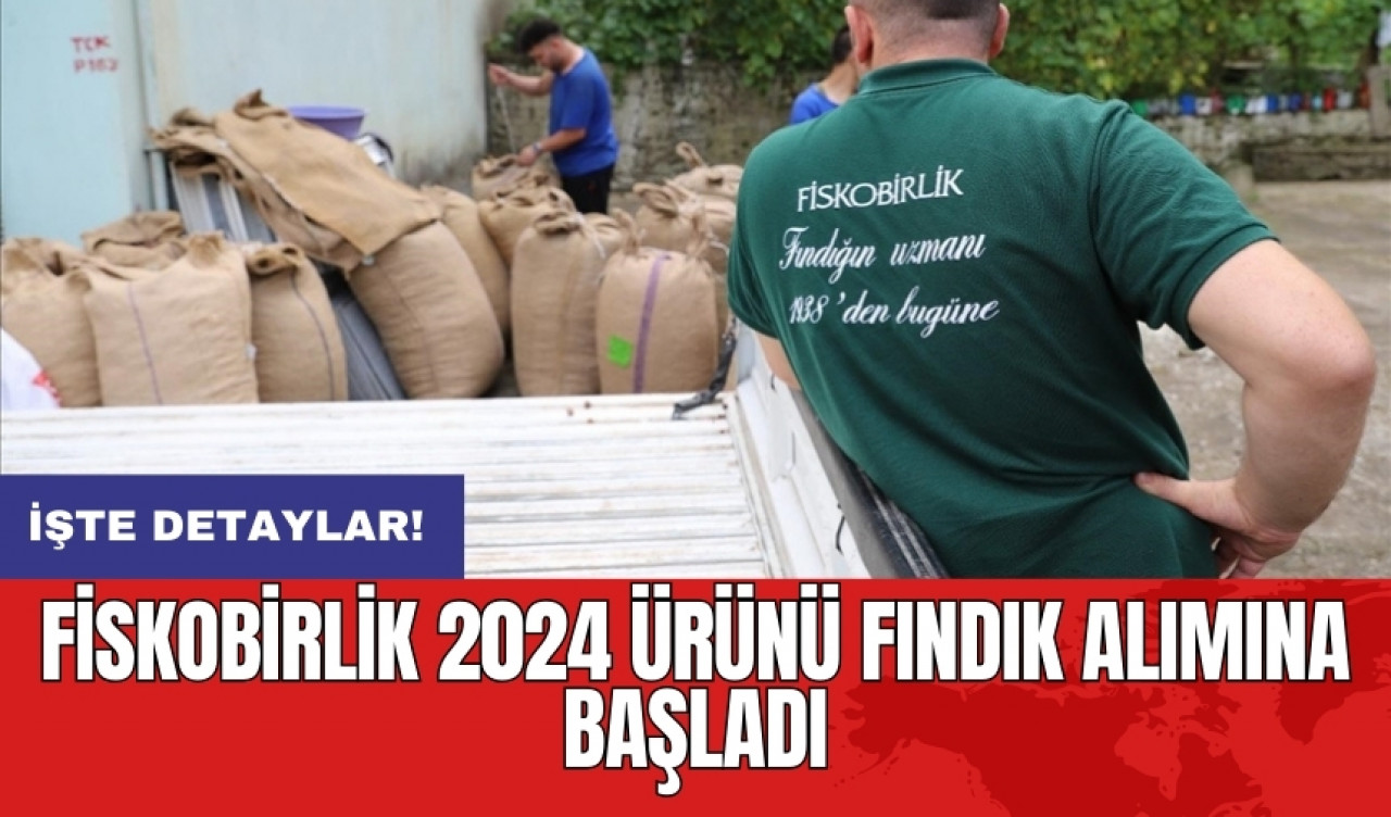 FİSKOBİRLİK 2024 ürünü fındık alımına başladı