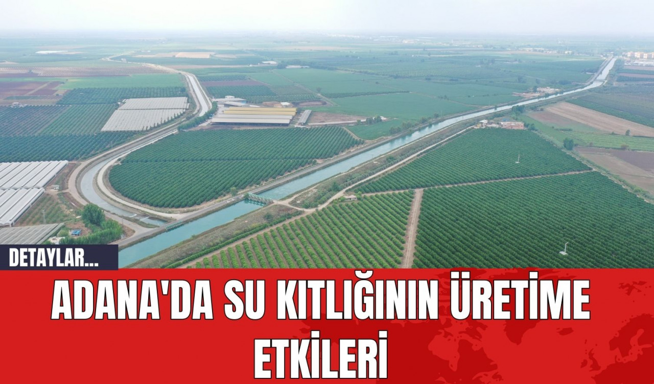 Adana'da Su Kıtlığının Üretime Etkileri