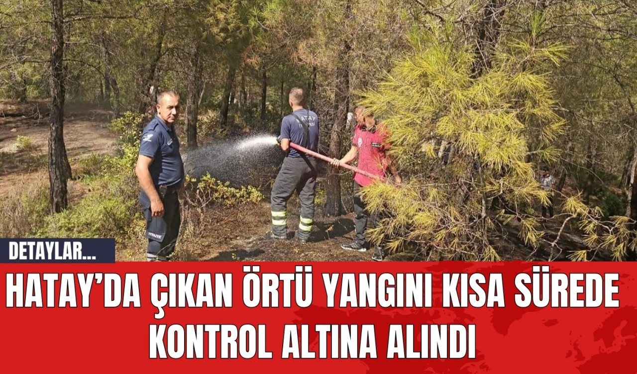 Hatay’da Çıkan Örtü Yangını Kısa Sürede Kontrol Altına Alındı