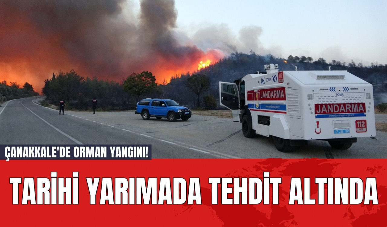 Çanakkale'de Orman Yangını! Tarihi Yarımada Tehdit Altında