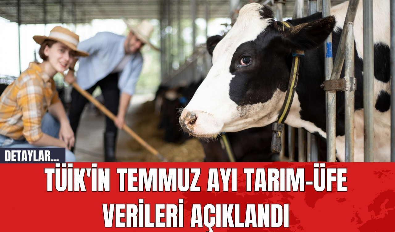 TÜİK'in Temmuz Ayı Tarım-ÜFE Verileri Açıklandı