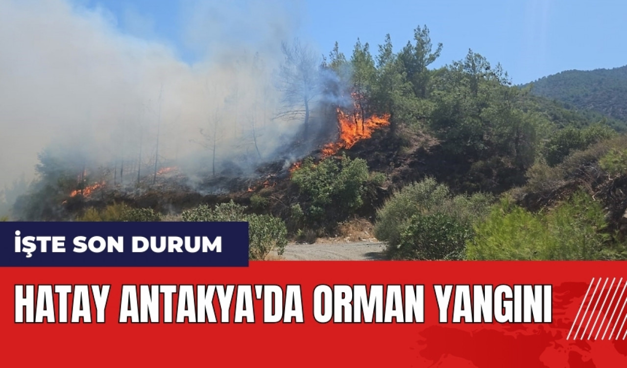 Hatay Antakya'da orman yangını