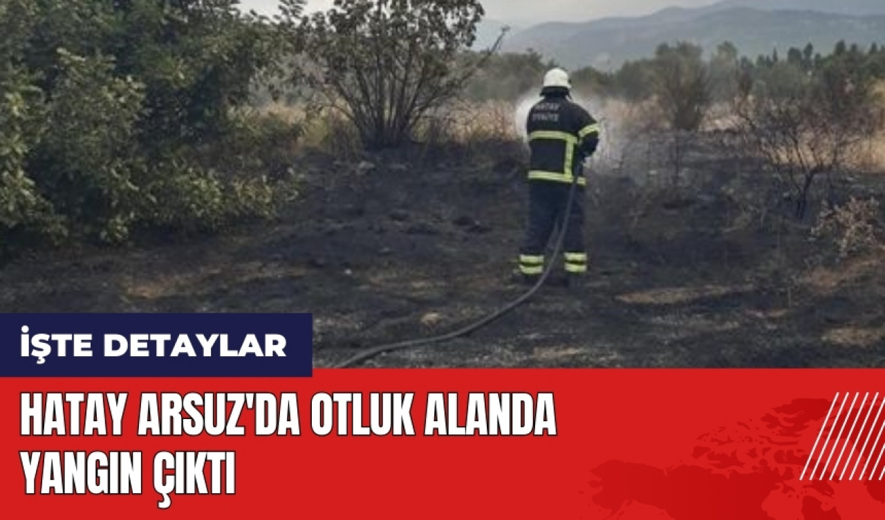 Hatay Arsuz'da otluk alanda yangın çıktı