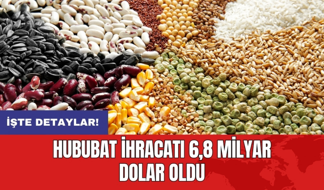 Hububat ihracatı 6,8 milyar dolar oldu