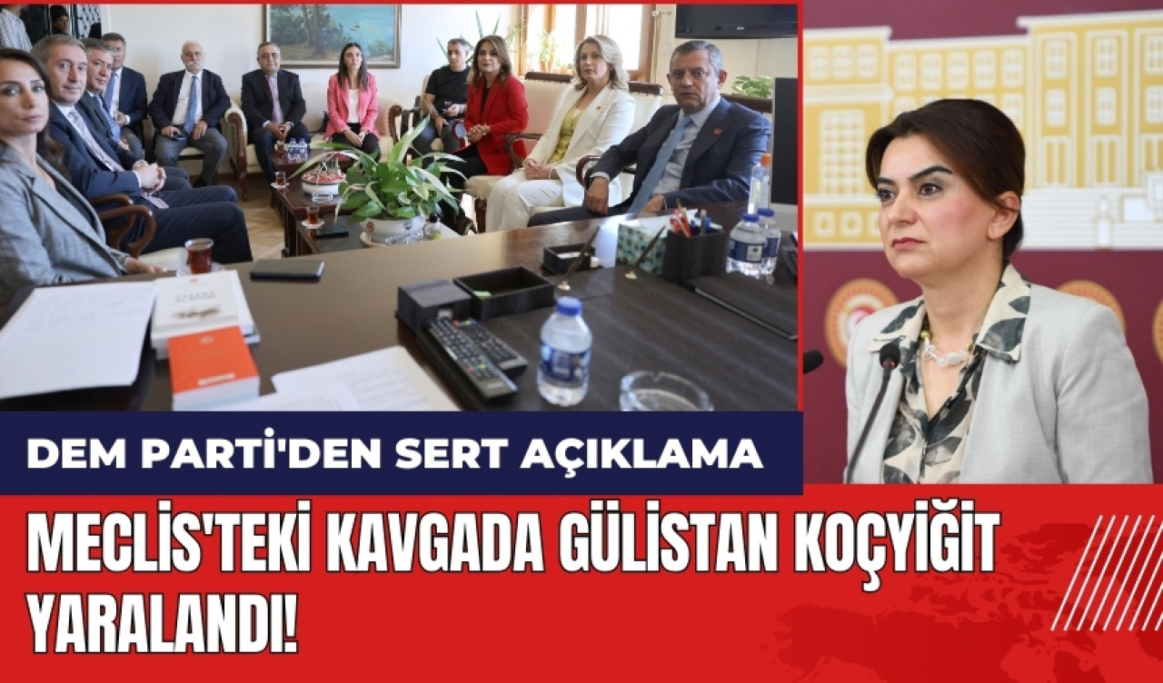 Meclis'teki kavgada Gülistan Koçyiğit yaralandı! DEM Parti'den sert açıklama