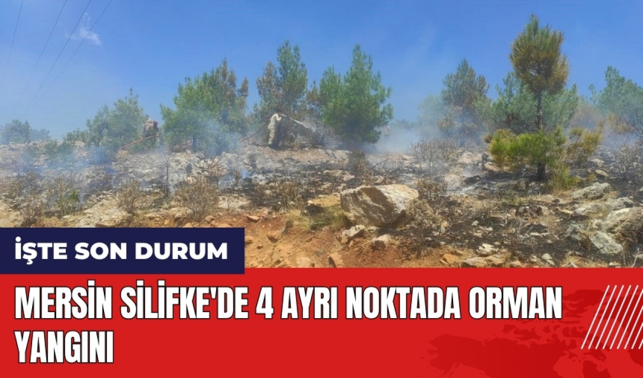 Mersin Silifke'de 4 ayrı noktada orman yangını