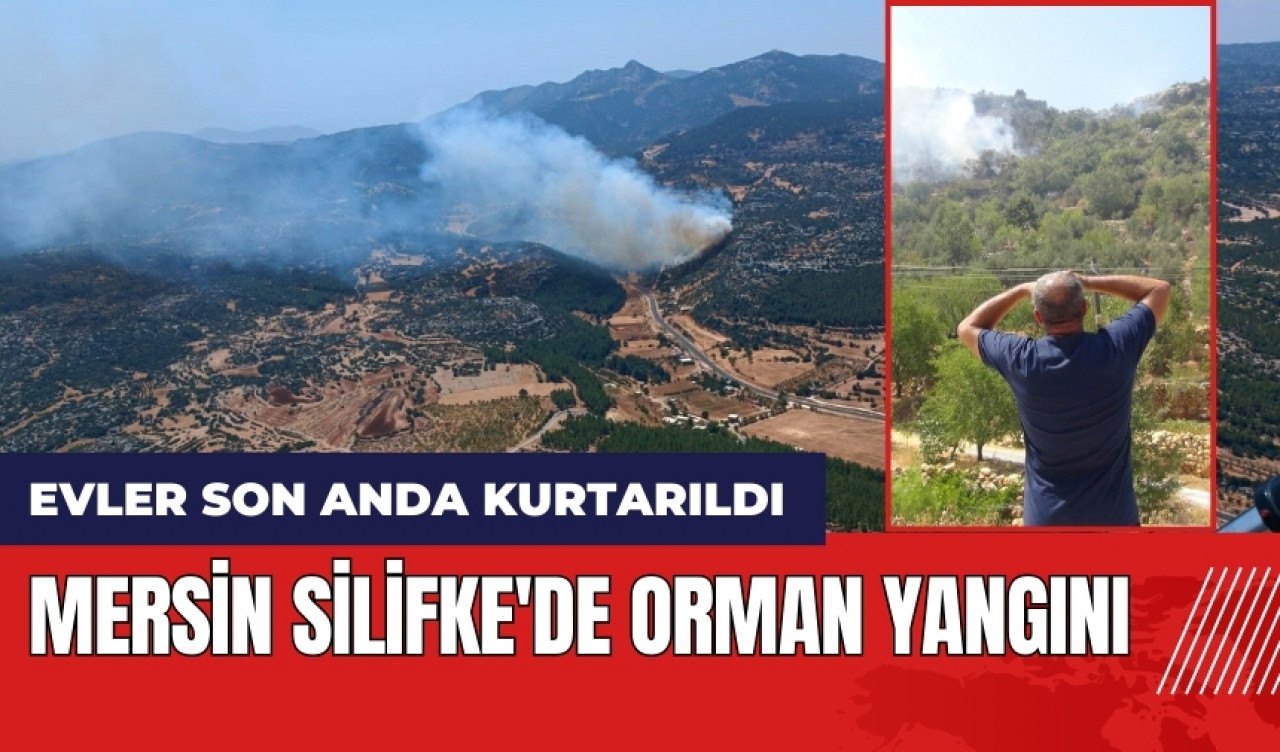 Mersin Silifke'de orman yangını! Evler son anda kurtarıldı