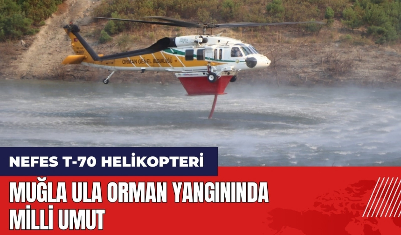 Muğla Ula orman yangınında milli umut Nefes T-70 helikopteri